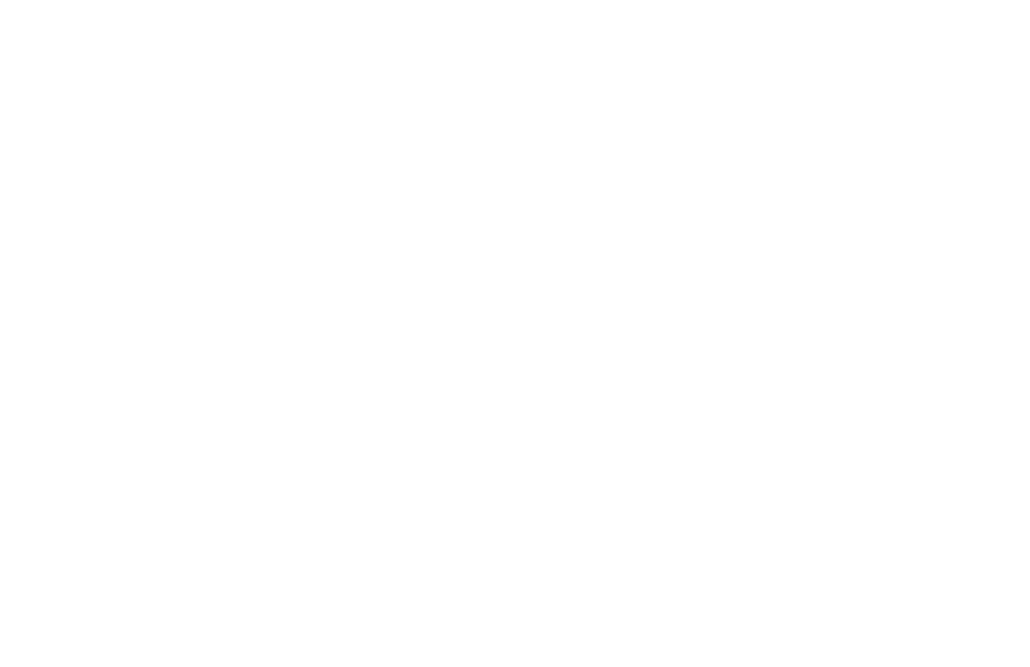 LEADERSFORCE